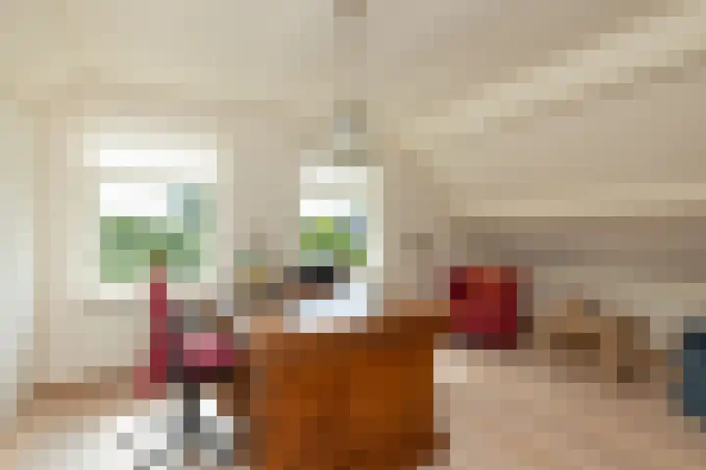 De Binnenhorst 12 Hoogeveen thumbnail 34