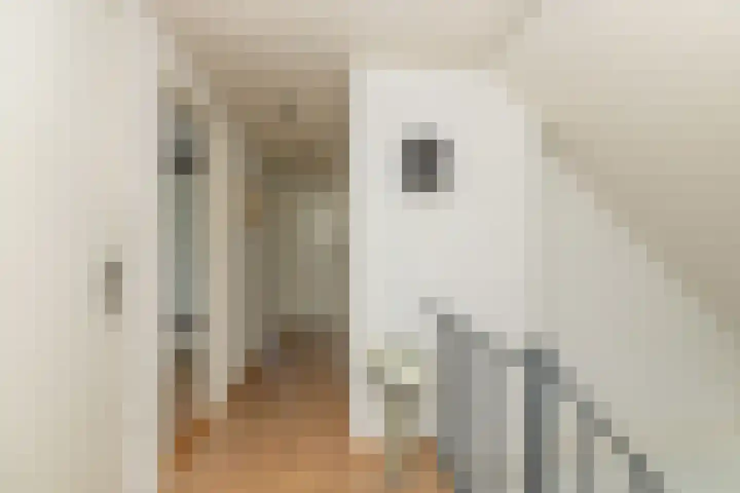 De Binnenhorst 12 Hoogeveen thumbnail 36