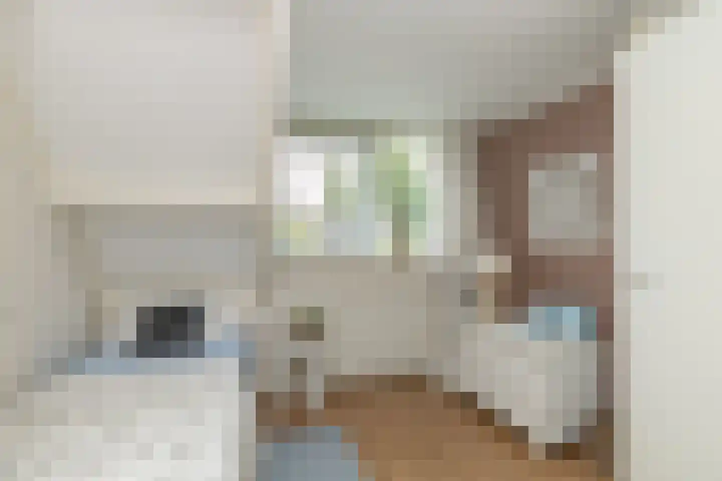 De Binnenhorst 12 Hoogeveen thumbnail 37
