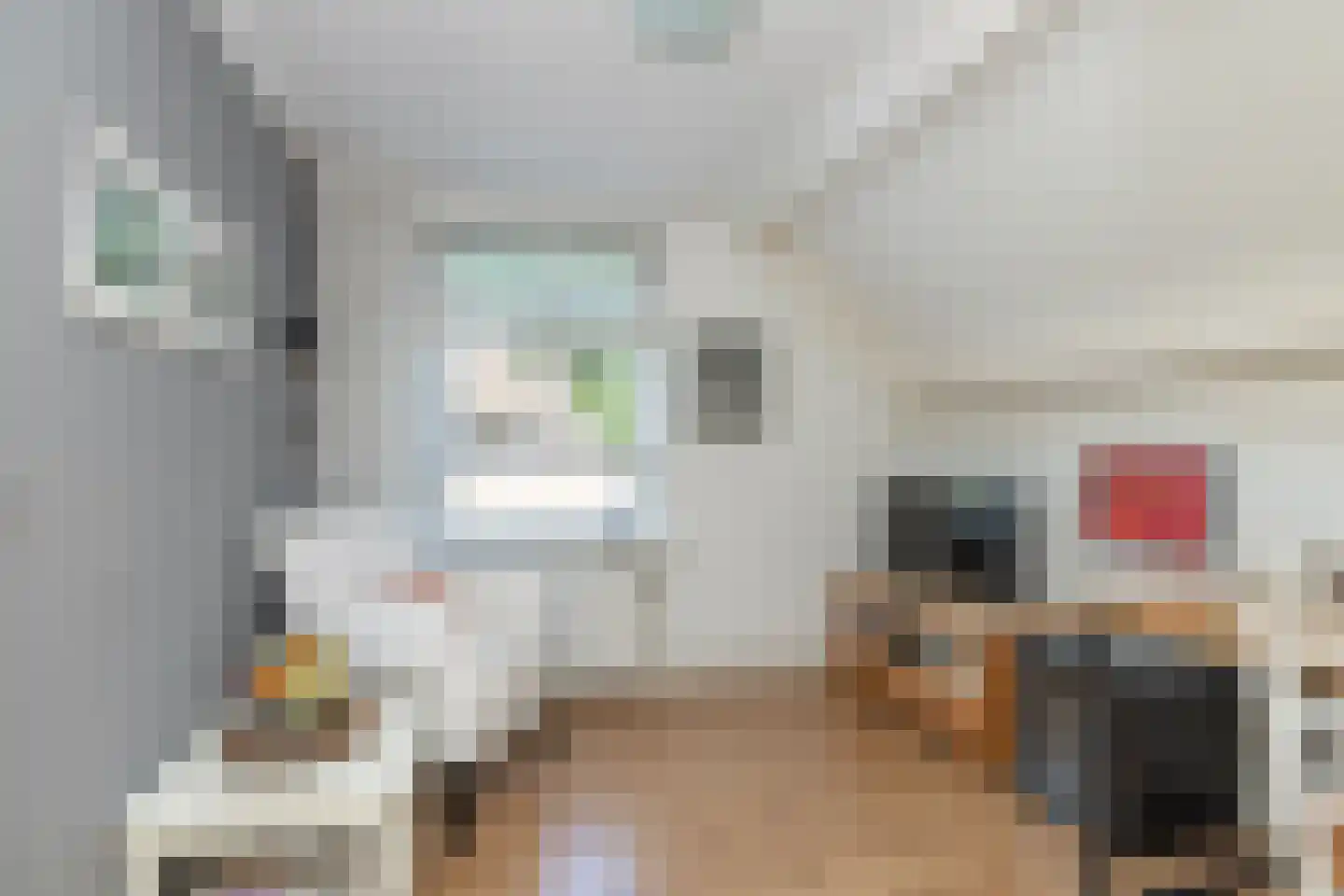 De Binnenhorst 12 Hoogeveen thumbnail 39