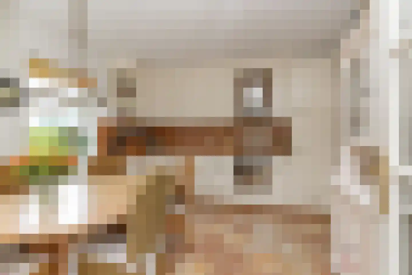 De Binnenhorst 12 Hoogeveen thumbnail 5