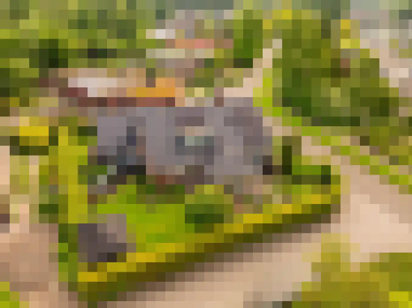 De Binnenhorst 12 Hoogeveen thumbnail 50