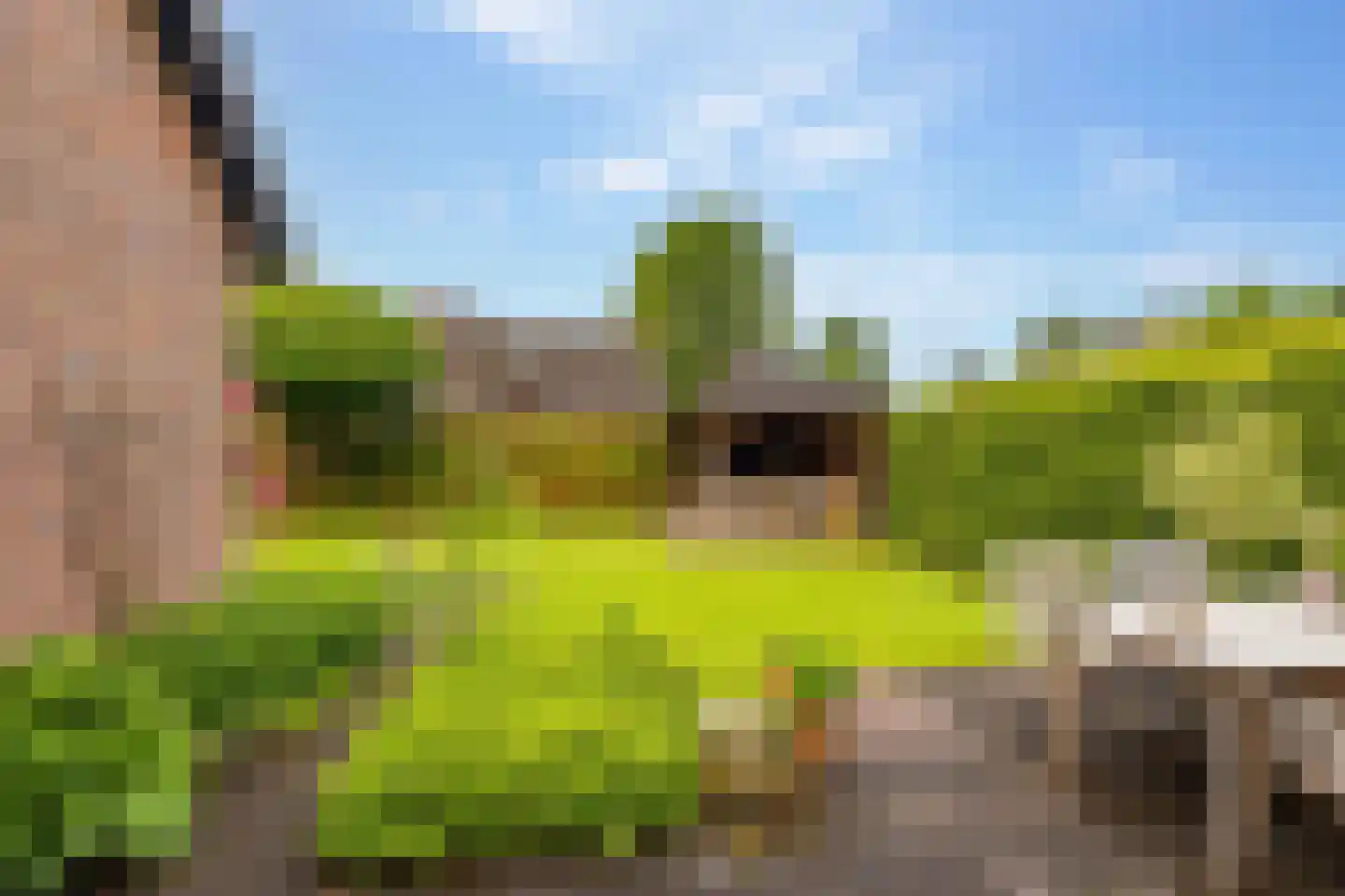 De Binnenhorst 12 Hoogeveen thumbnail 51
