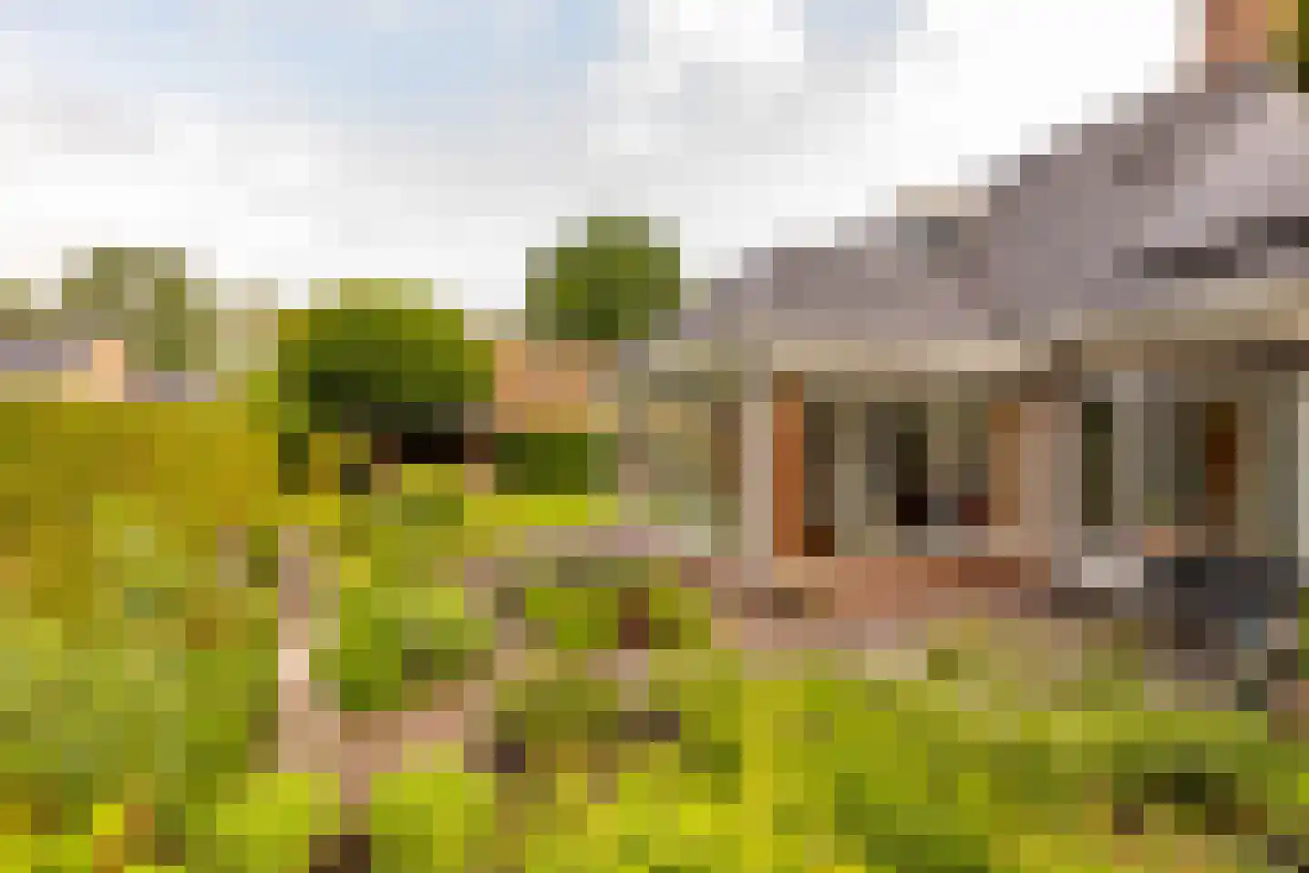 De Binnenhorst 12 Hoogeveen thumbnail 54