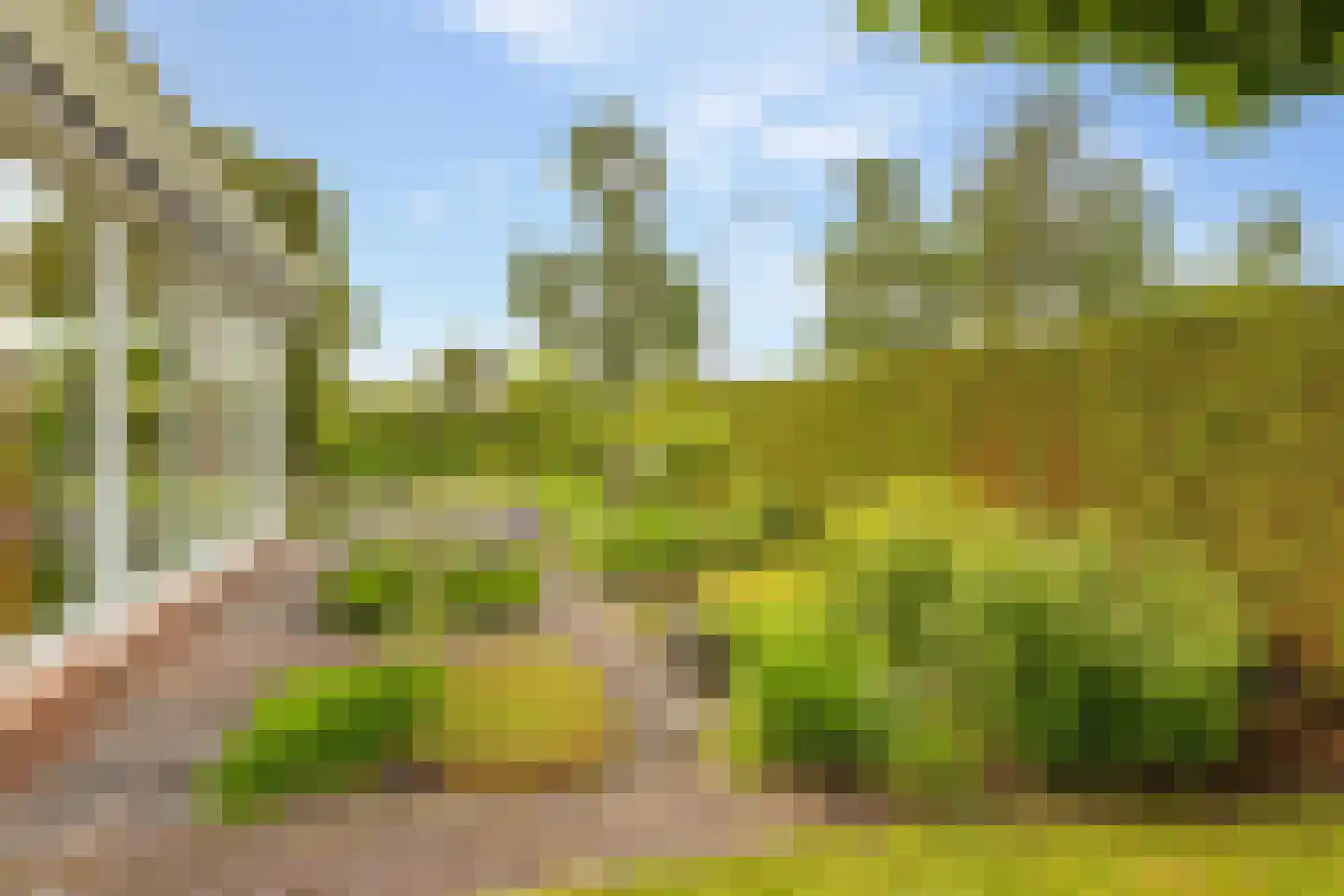 De Binnenhorst 12 Hoogeveen thumbnail 56