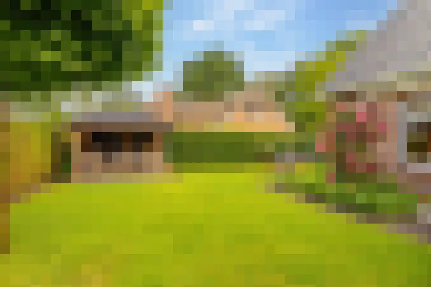 De Binnenhorst 12 Hoogeveen thumbnail 57