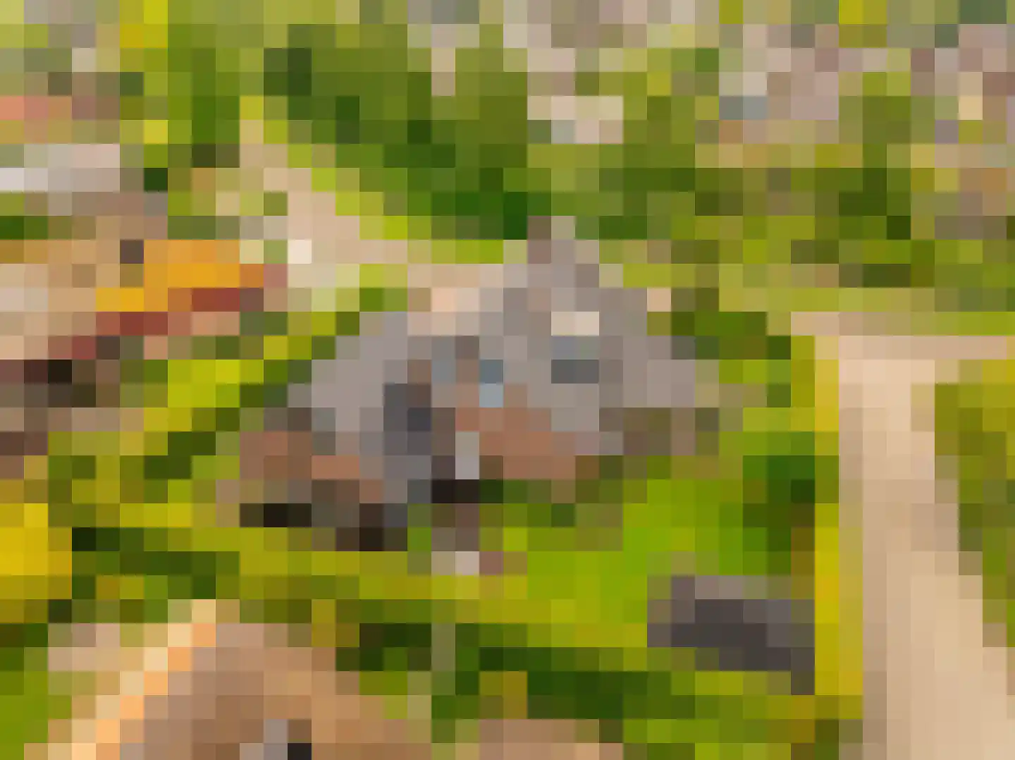 De Binnenhorst 12 Hoogeveen thumbnail 6