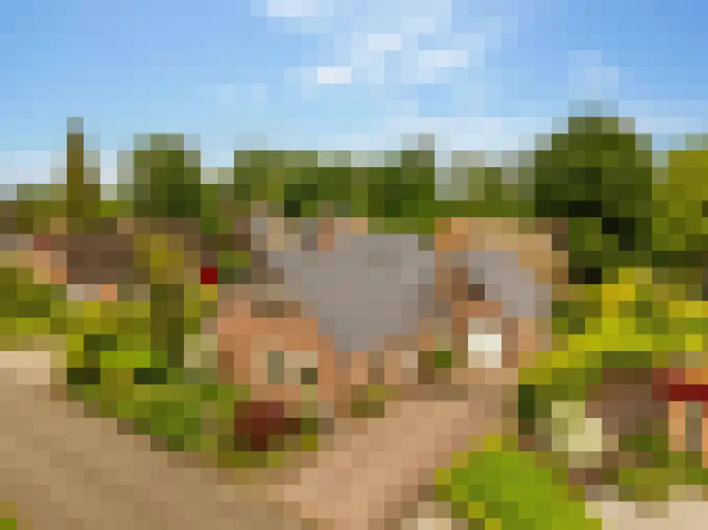 De Binnenhorst 12 Hoogeveen thumbnail 63