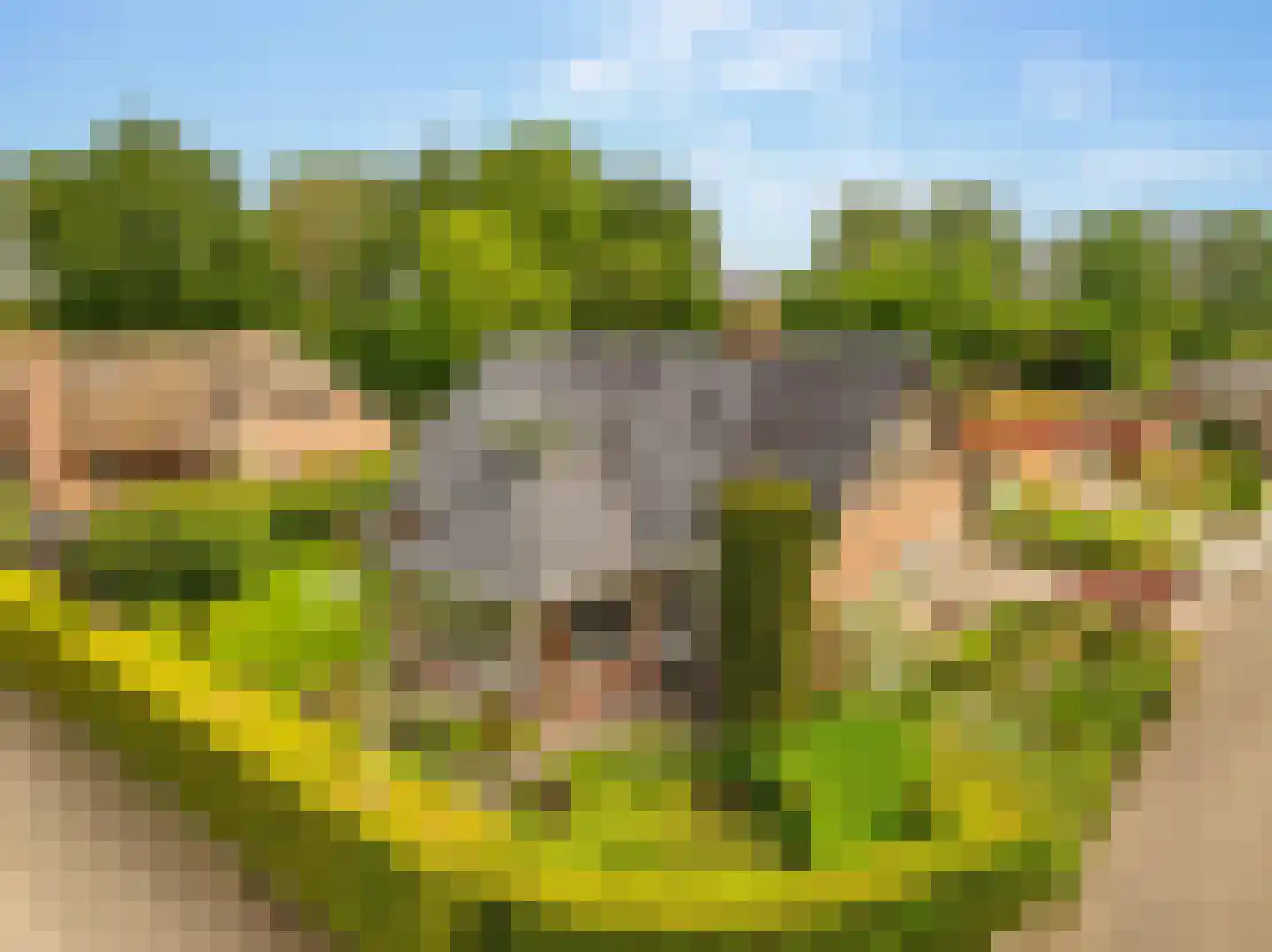 De Binnenhorst 12 Hoogeveen thumbnail 7