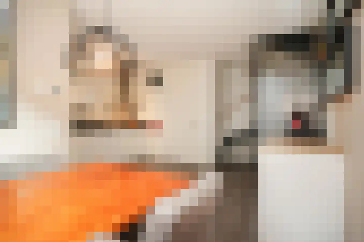 De Binnenplaats 13 Meteren thumbnail 10