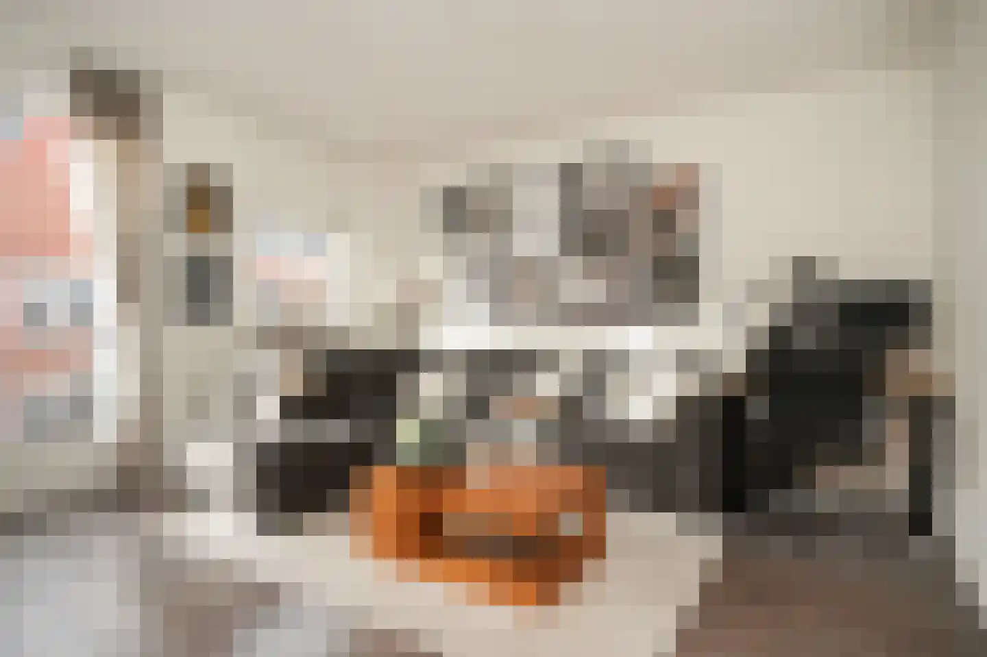 De Binnenplaats 13 Meteren thumbnail 14
