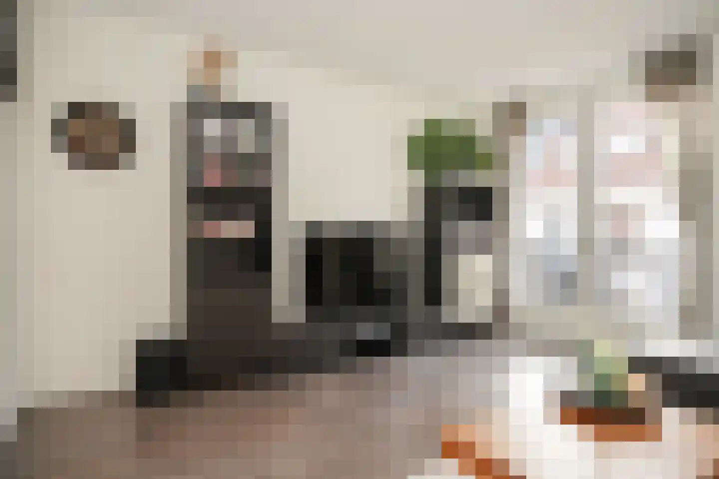 De Binnenplaats 13 Meteren thumbnail 16