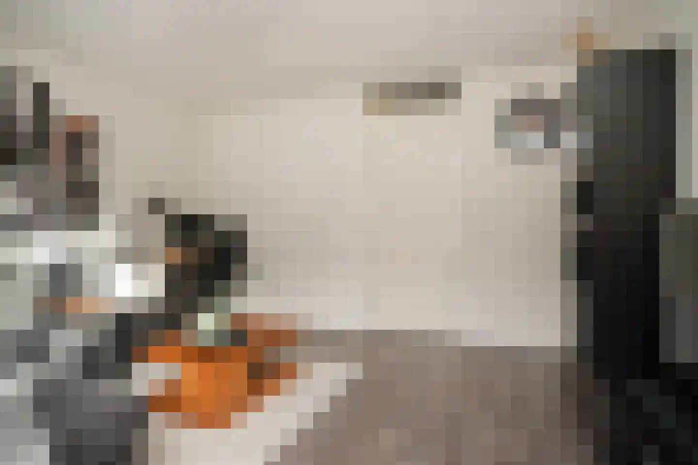 De Binnenplaats 13 Meteren thumbnail 20