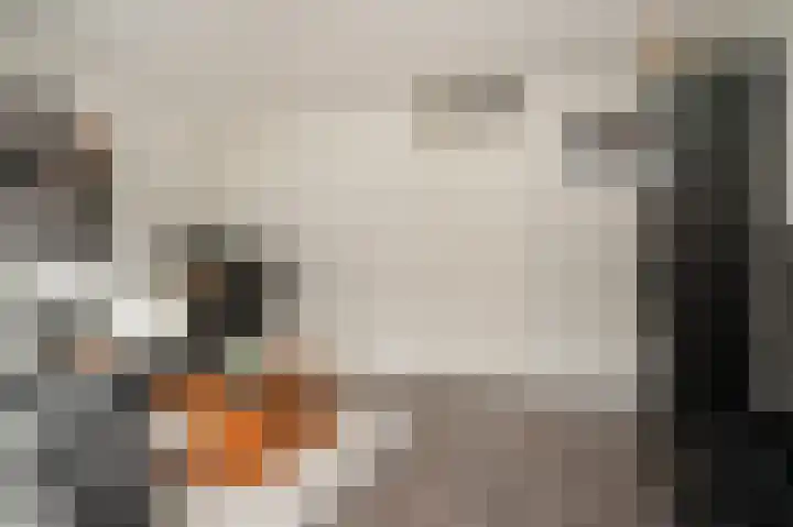 De Binnenplaats 13 Meteren thumbnail 20