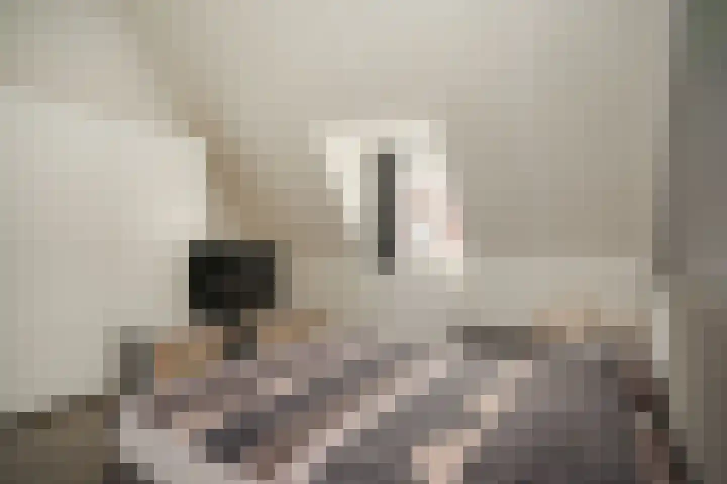 De Binnenplaats 13 Meteren thumbnail 24