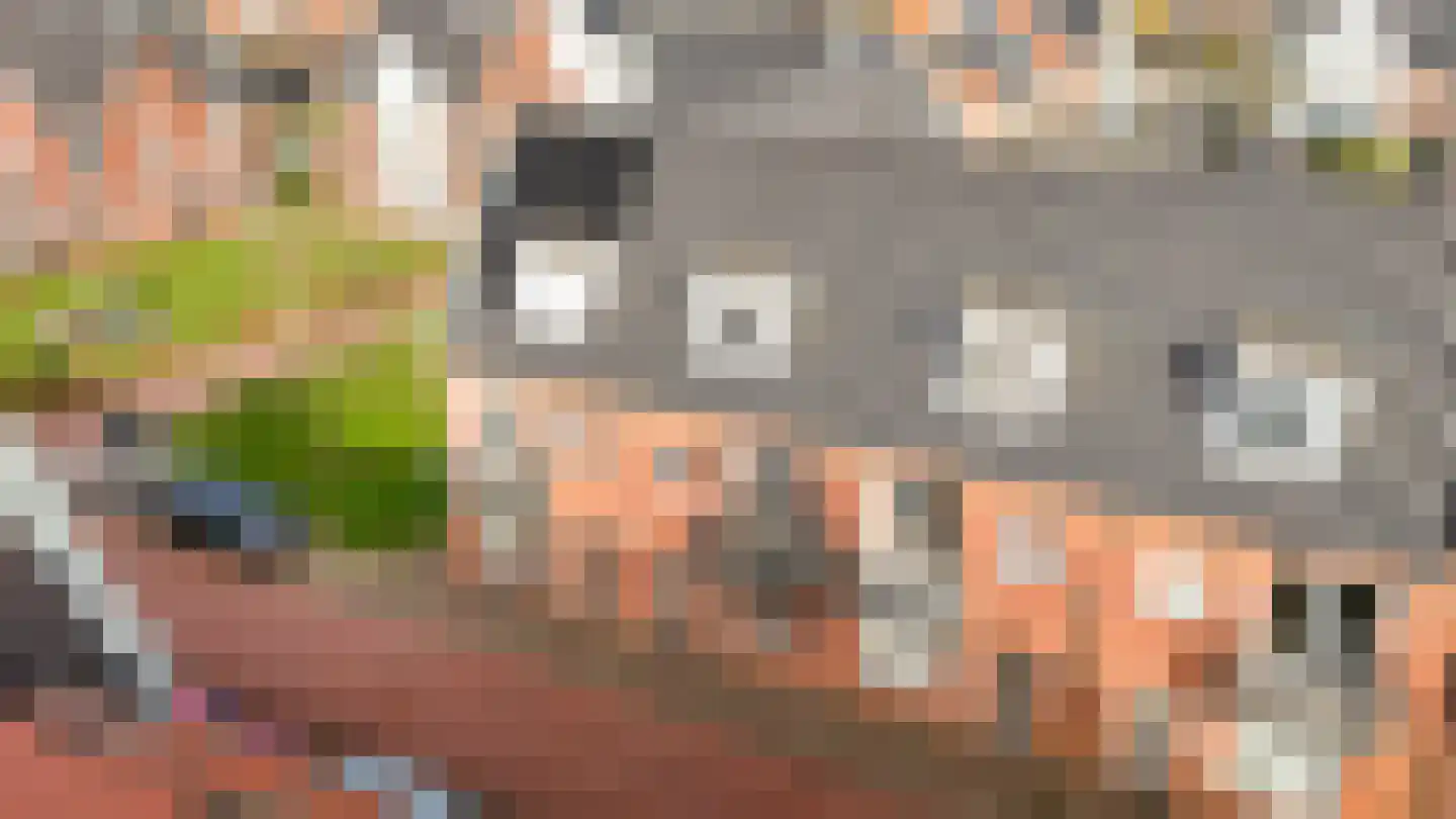 De Binnenplaats 13 Meteren thumbnail 32
