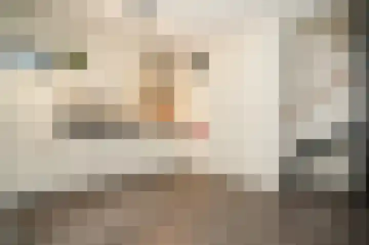 De Binnenplaats 13 Meteren thumbnail 5