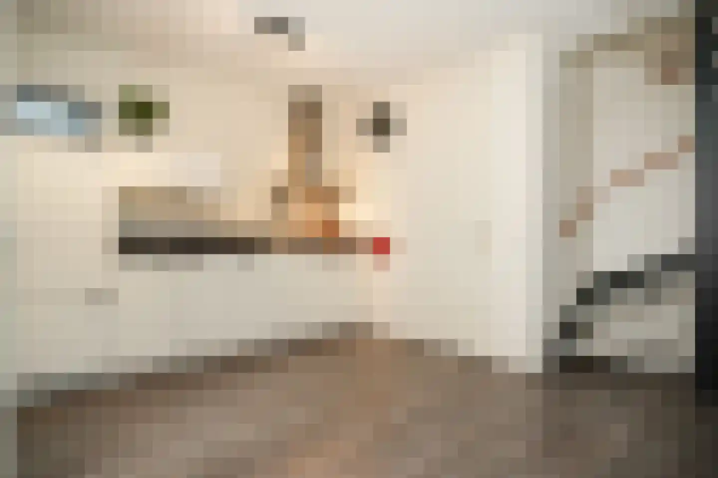 De Binnenplaats 13 Meteren thumbnail 5