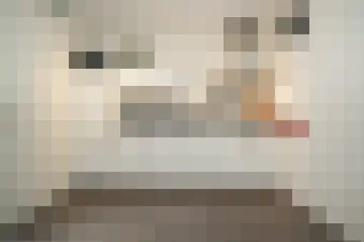 De Binnenplaats 13 Meteren thumbnail 7