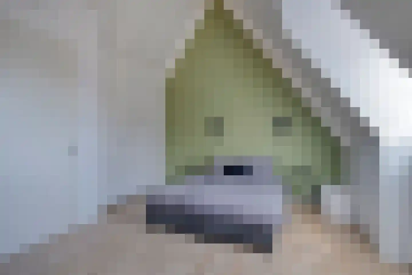 De Binnenplaats 19 Meteren thumbnail 17
