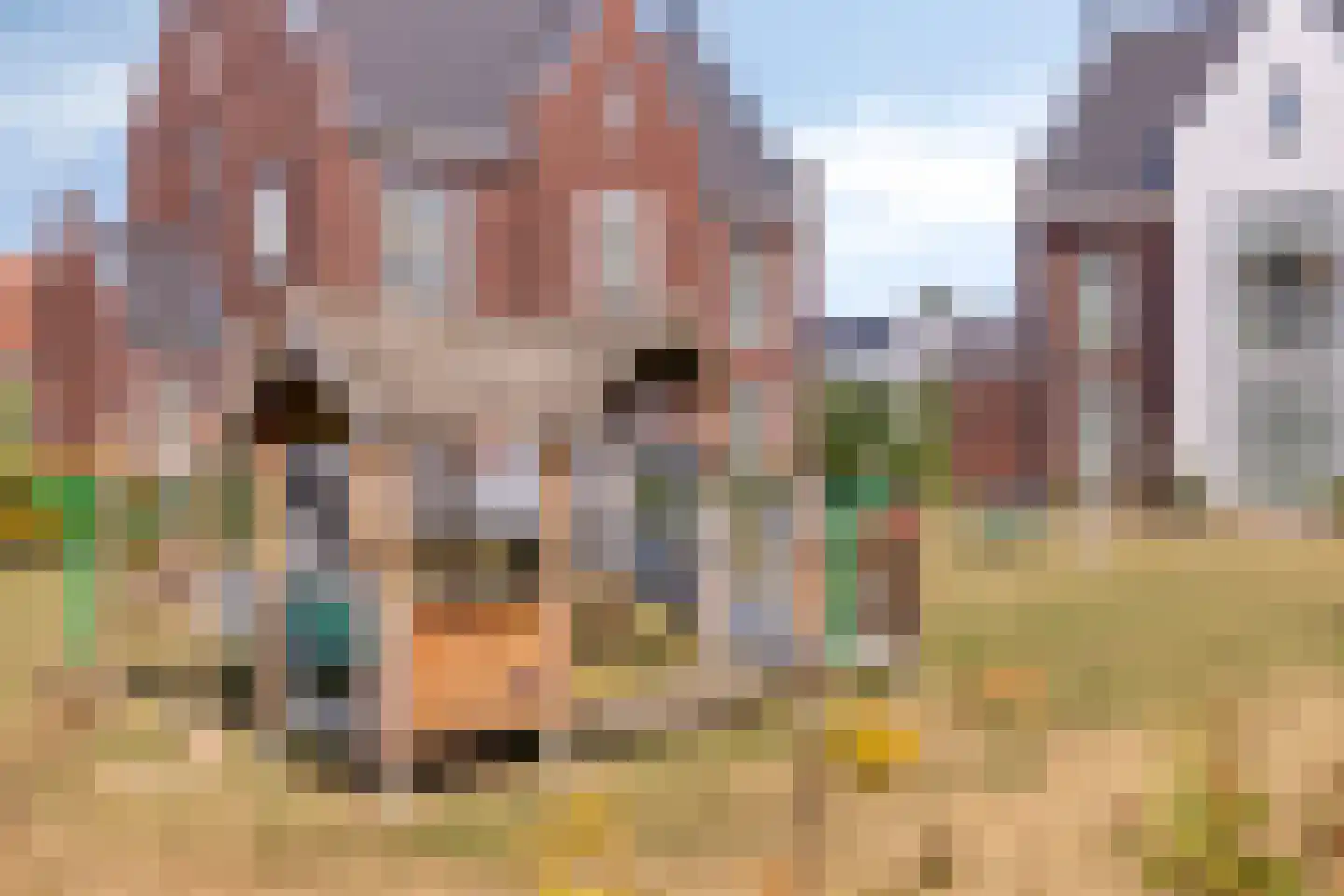 De Binnenplaats 19 Meteren thumbnail 23