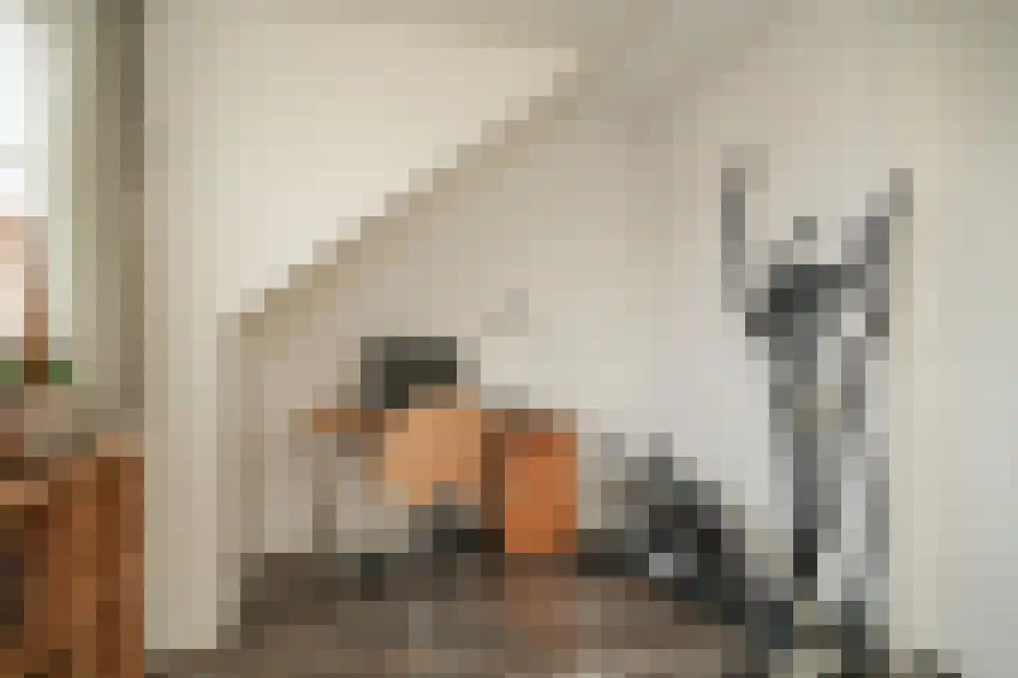 De Binnenplaats 21 Meteren thumbnail 23