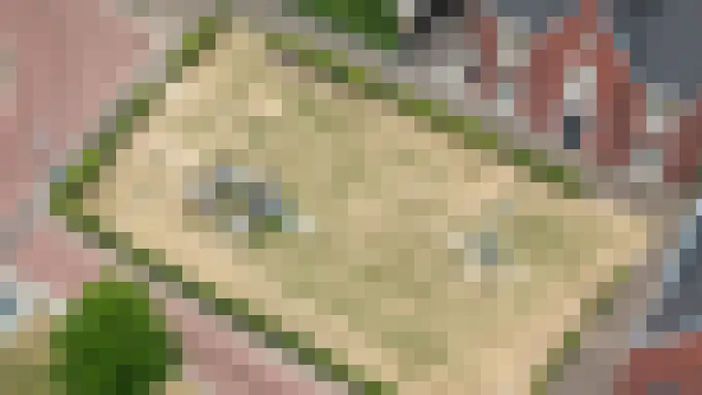 De Binnenplaats 21 Meteren thumbnail 37