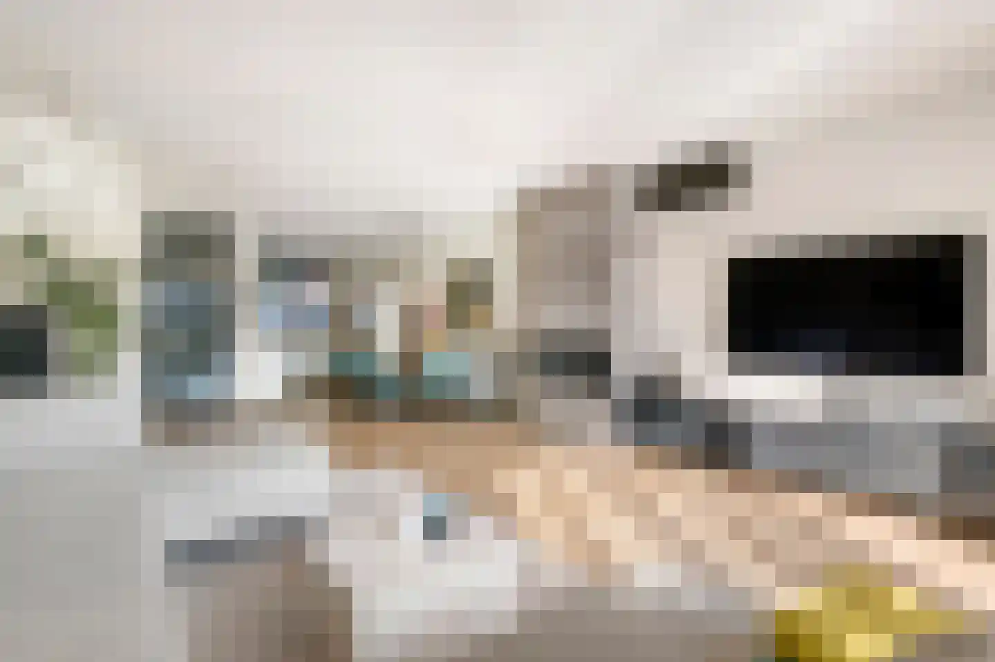 De Binnenplaats 32 Meteren thumbnail 24