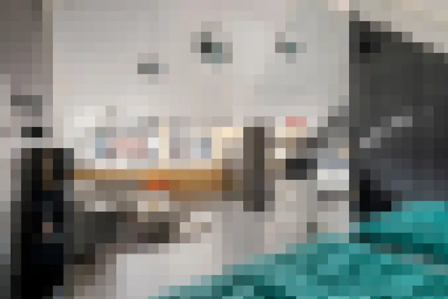 De Binnenplaats 32 Meteren thumbnail 35