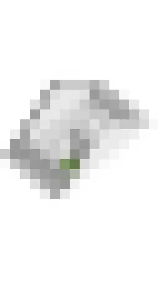 De Binnenplaats 32 Meteren thumbnail 43