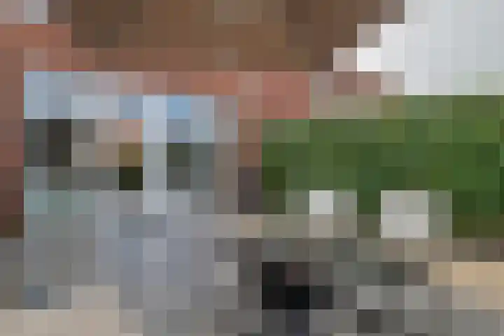 De Binnenplaats 39 Meteren thumbnail 35
