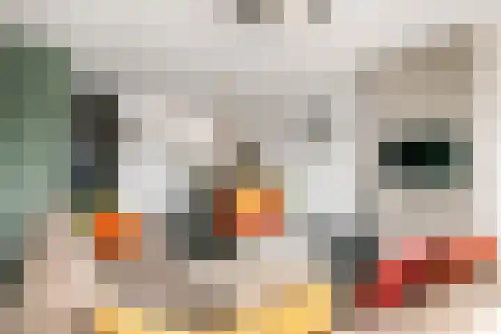 De Binnenplaats 41 Meteren thumbnail 4