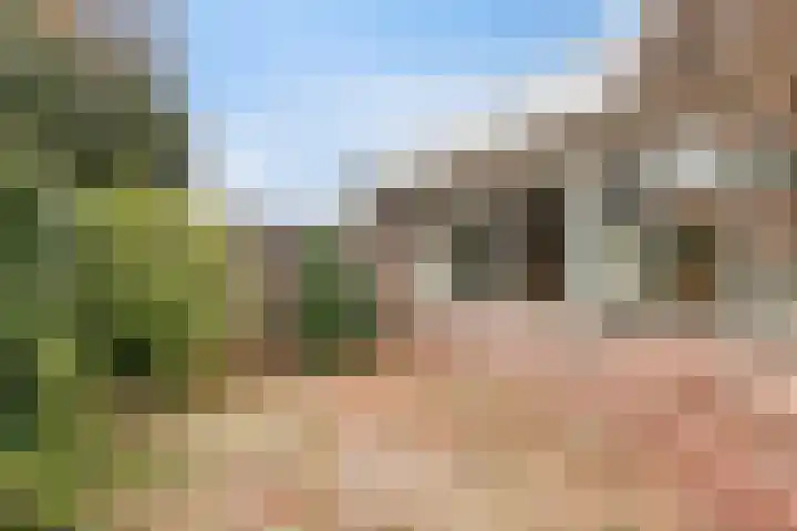 de Binnentuin 10 Soest thumbnail 20