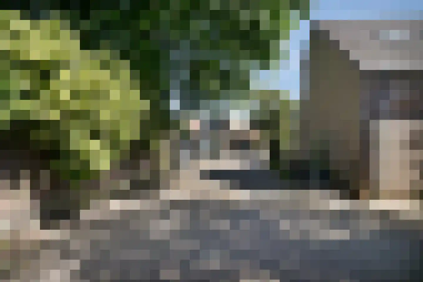 de Binnentuin 13 Soest thumbnail 22
