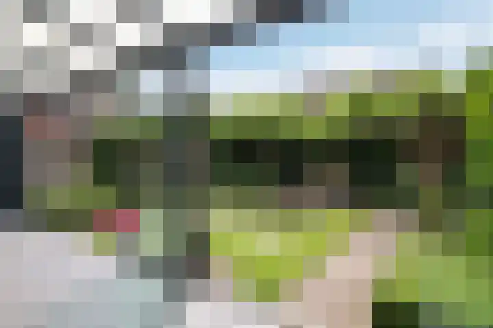De Binnentuin 14 Apeldoorn thumbnail 13