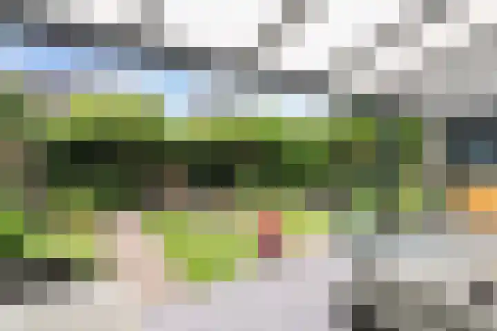 De Binnentuin 14 Apeldoorn thumbnail 14