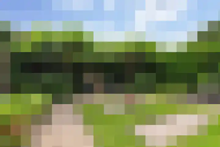De Binnentuin 14 Apeldoorn thumbnail 18