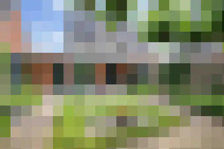 De Binnentuin 14 Apeldoorn thumbnail 19