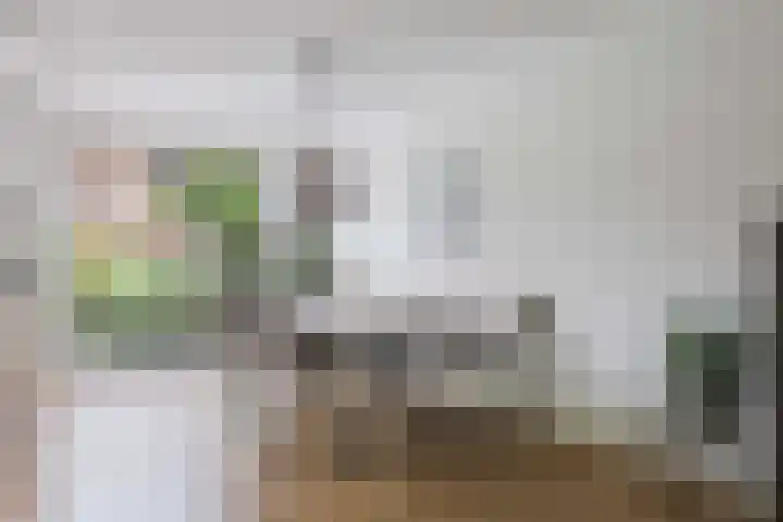 De Binnentuin 14 Apeldoorn thumbnail 9