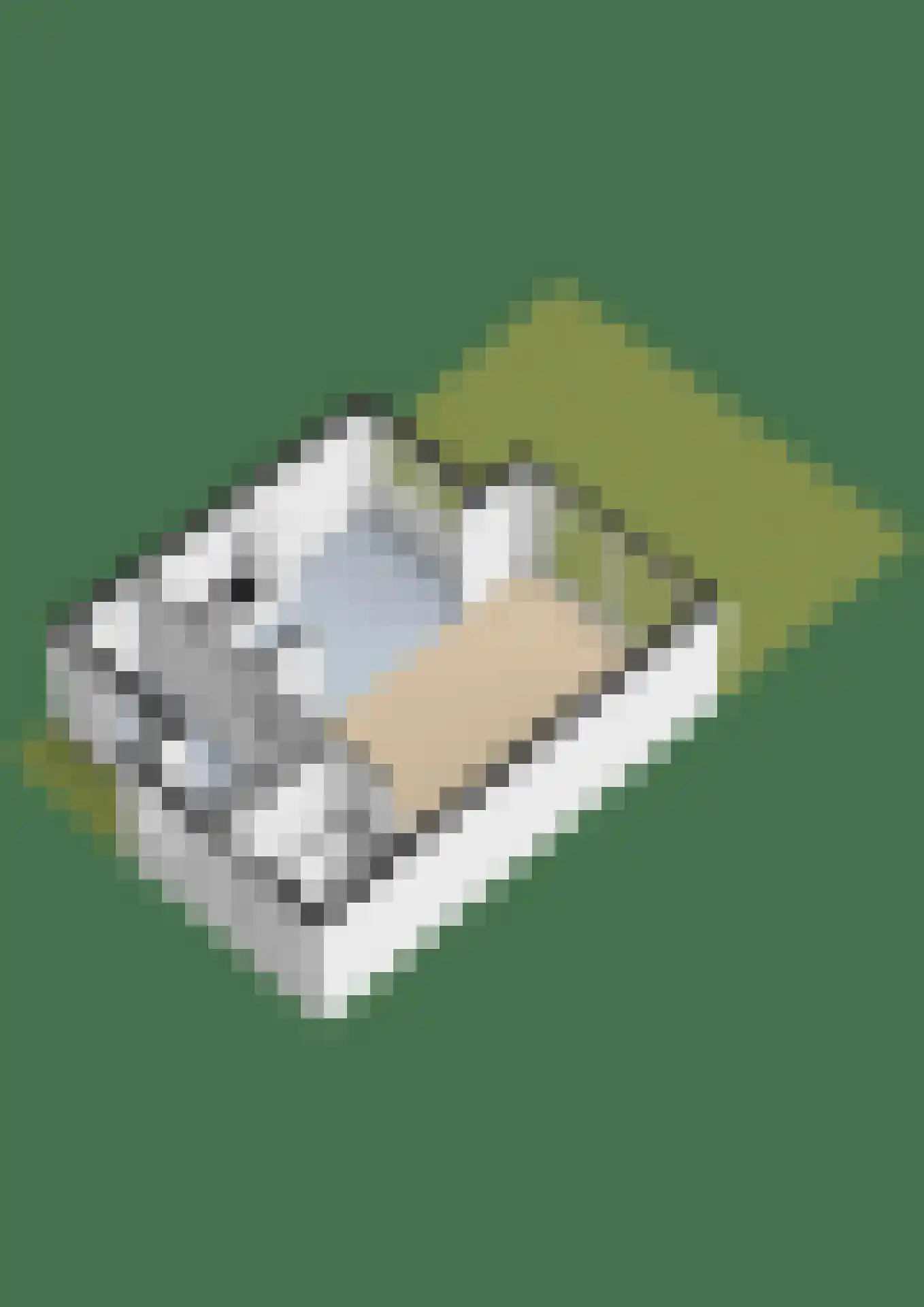 de Binnentuin 9 Soest thumbnail 37