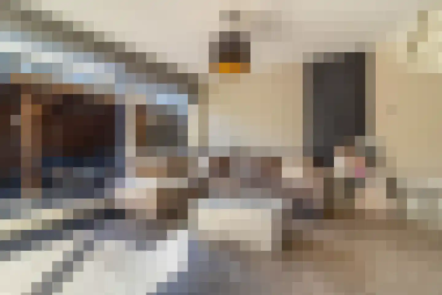 de Binnentuin 9 Soest thumbnail 4