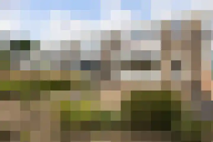 de Bird 110 Leeuwarden thumbnail 35