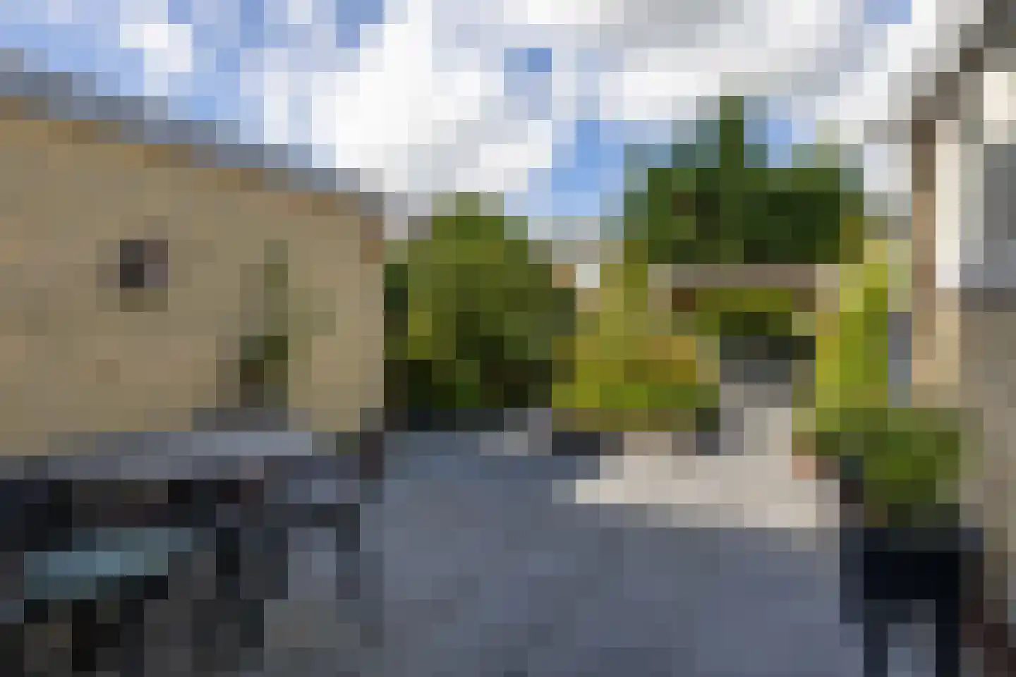 de Bird 75 Leeuwarden thumbnail 5
