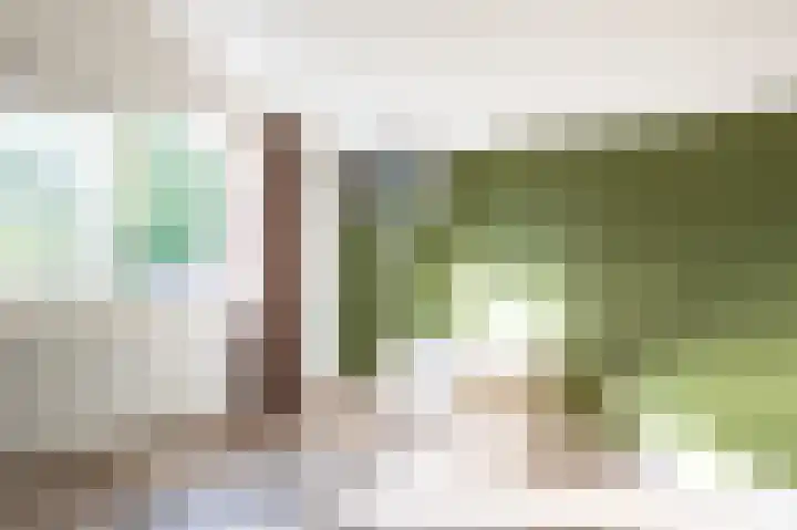 De Bisweide 30 Grubbenvorst thumbnail 18