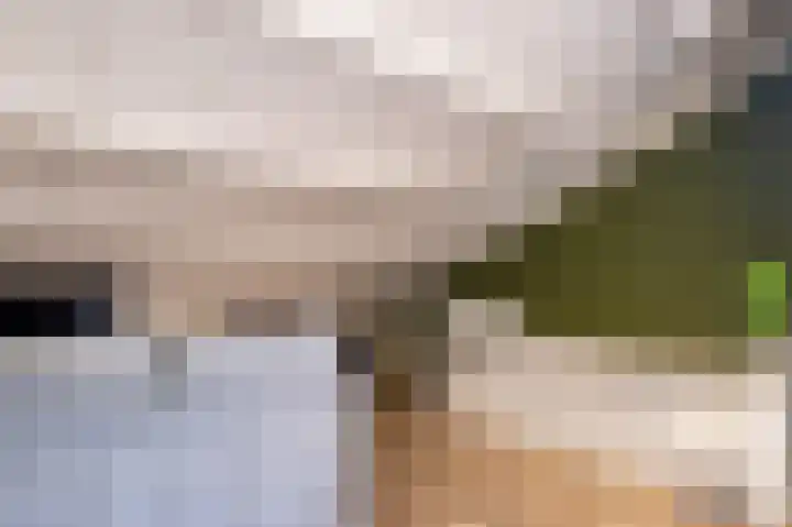 De Bisweide 30 Grubbenvorst thumbnail 24