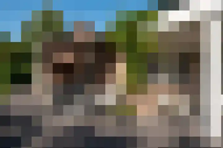 De Bisweide 30 Grubbenvorst thumbnail 35