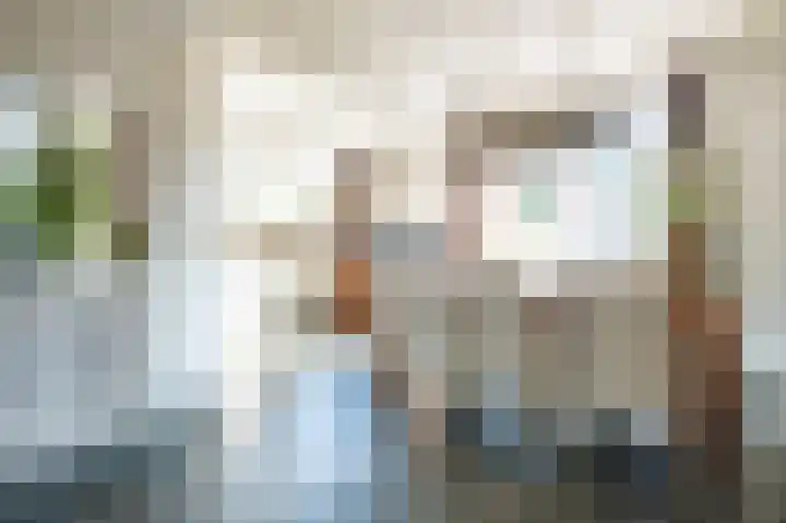 De Bisweide 30 Grubbenvorst thumbnail 8