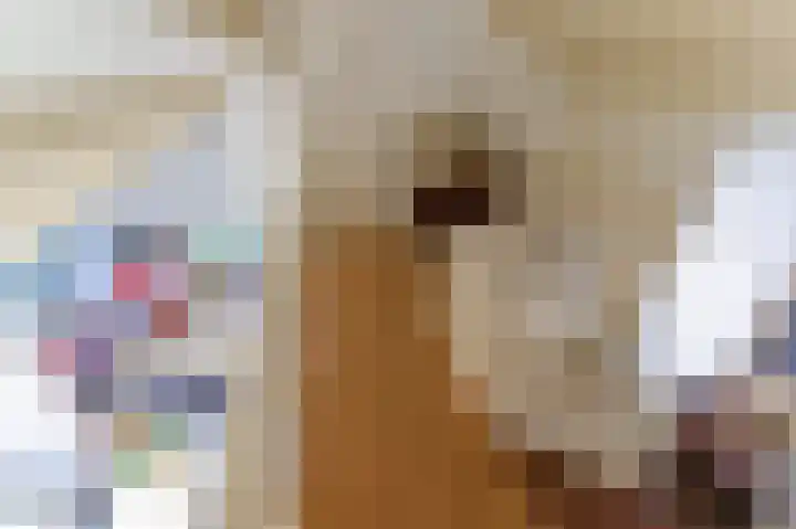 De Bisweide 34 Grubbenvorst thumbnail 14