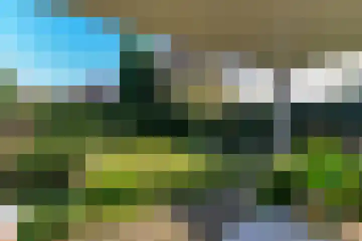 De Bisweide 34 Grubbenvorst thumbnail 24