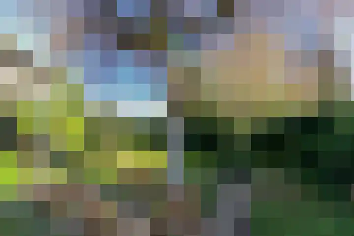 De Bisweide 34 Grubbenvorst thumbnail 27